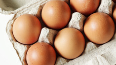 ANSA anunță retragerea din comerț a unui lot de ouă infectate cu Salmonella 