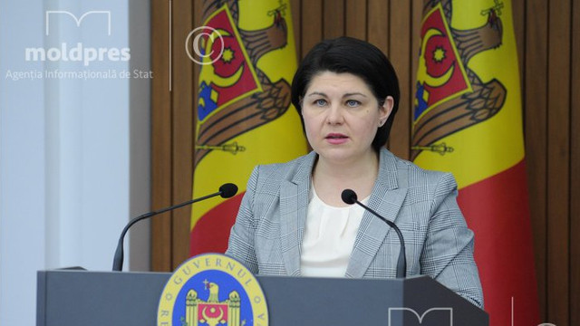 Guvernul va monitoriza evoluțiile prețurilor pe piață
