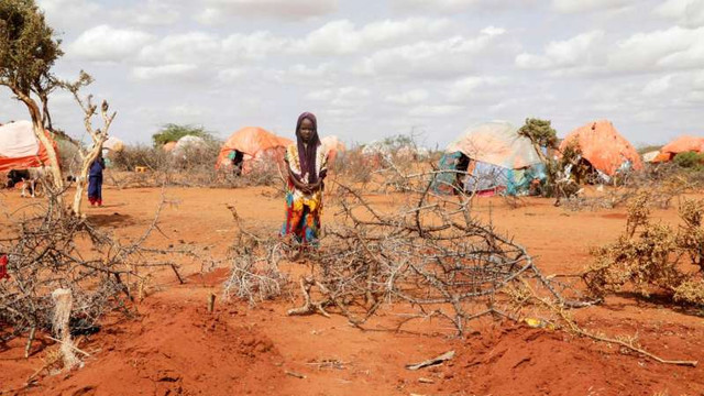 Somalia este în pragul foametei, avertizează ONU