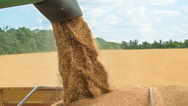 Rusia aruncă pe ONU responsabilitatea rezolvării crizei cerealelor. Condiția pusă de Moscova pentru deblocarea exporturilor din Ucraina