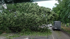 Consecințele ploilor torențiale și ale vântului puternic din nordul R. Moldova: copaci doborâți, case de locuit și culturi agricole afectate (foto) 