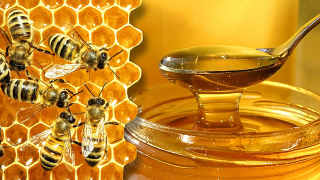 Seceta compromite recolta de miere