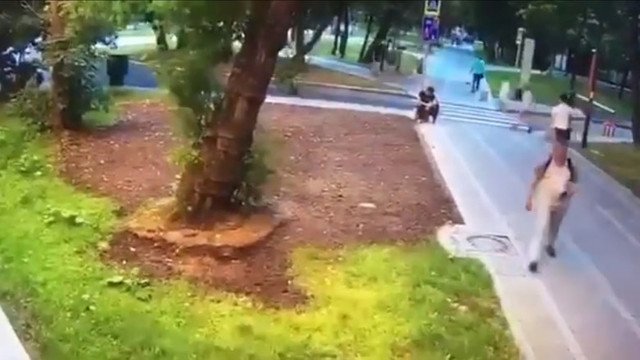 VIDEO | Un bărbat a murit la Moscova, după ce un copac a căzut peste el, pe Bulevardul Ucrainei