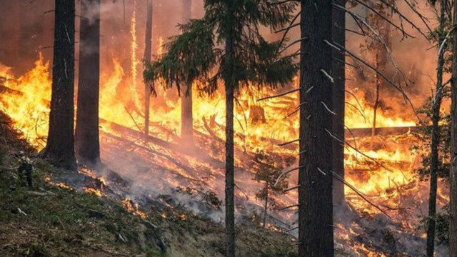 Peste 3.000 de persoane, evacuate în sudul Franței din cauza unui incendiu de vegetație