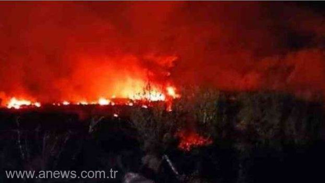 Avionul prăbușit în Grecia transporta armament cu destinația Bangladesh