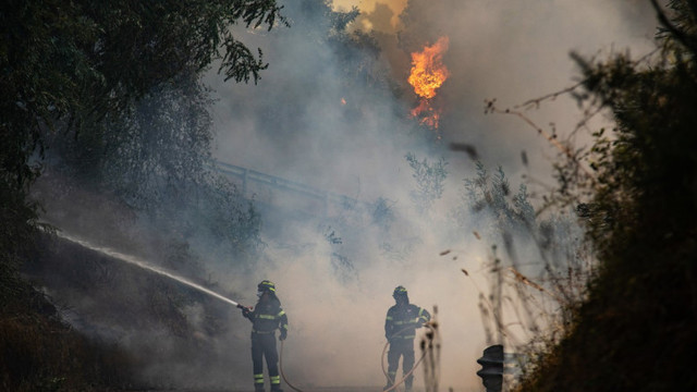 Europa în flăcări. 19 țări sunt în „pericol extrem” de incendii din cauza temperaturilor caniculare