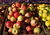 Moldova Fruct cere măsuri care ar duce la deblocarea exportului de mere către Rusia