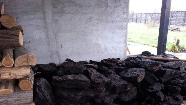 Veaceslav Ioniță: Cele mai multe familii din Republica Moldova se încălzesc iarna cu lemne sau cărbune