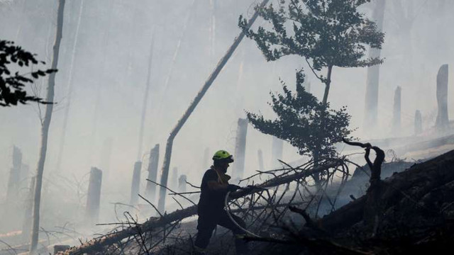 900 de pompieri se luptă cu flăcările într-un parc național din Republica Cehă