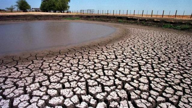 Guvernul de la Chișinău va institui stare de urgență în mediu din cauza secetei hidrologice