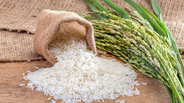 Vremea pune în pericol aprovizionarea globală cu orez