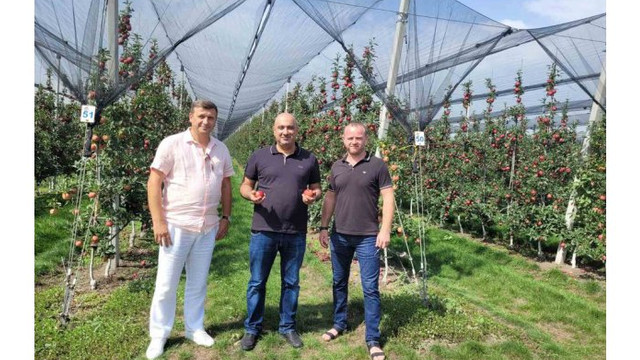 Comercianți din Emiratele Arabe Unite vor achiziționa fructe din R. Moldova