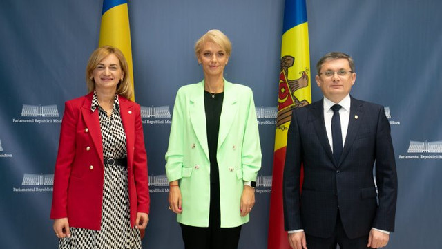 Președintele Parlamentului, Igor Grosu, a discutat cu Președintele interimar al Senatului României, Alina Gorghiu