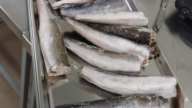  ANSA a interzis aducerea în R. Moldova a 26 de tone de pește infectat cu paraziți