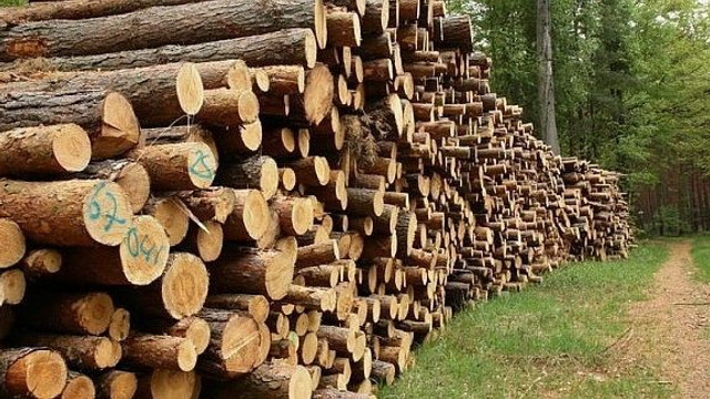 În R. Moldova, a fost lansată o platformă online , reprezentând un sistem informațional de gestionare a procesului de distribuire a lemnelor 