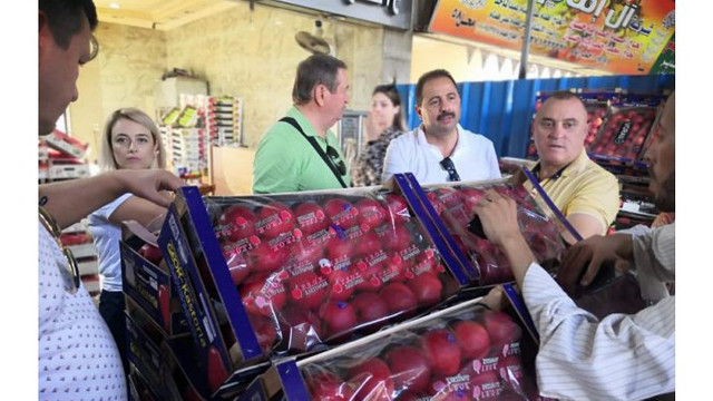 Producătorii de mere din Republica Moldova vor testa piața din Egipt