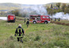 IGSU a realizat un exercițiu de teren la lichidarea incendiului de vegetație uscată cu asistența pompierilor voluntari din Republica Austria