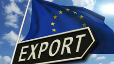 Dinamica operațiunilor de import-export efectuate în statele membre ale Uniunii Europene, în perioada 2014-2021, de către companiile din regiunea transnistreană