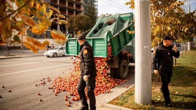 Precizările poliției referitoare la producătorul agricol care a descărcat mere în fața Ministerului Agriculturii: „Se afla sub influența substanțelor narcotice”