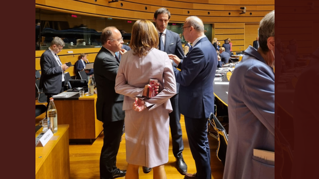 România, Polonia, Suedia și Cehia propun organizarea unei reuniuni a miniștrilor de externe din UE cu privire la viitorul Parteneriatului Estic, din care face parte și Republica Moldova
