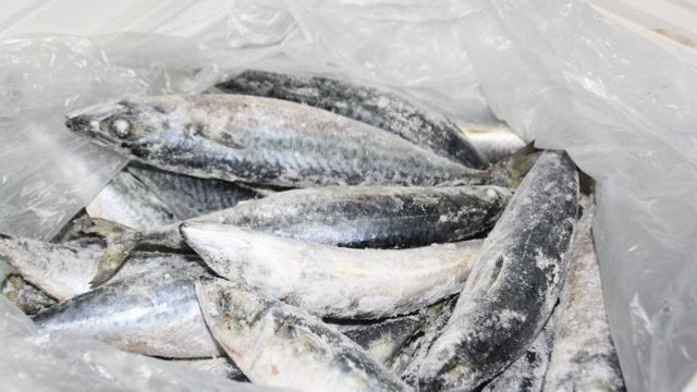 ANSA a depistat pește congelat cu paraziți, în urma unor controale în școli și grădinițe