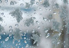 Meteo | Ploi și ninsori la nordul R. Moldova: Cum va fi vremea astăzi, 25 noiembrie