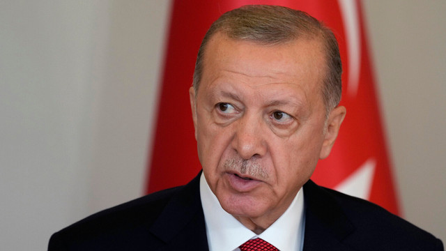 Turcia și Rusia vor livra gratuit cereale țărilor africane, promite Erdogan