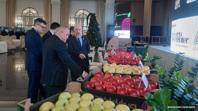 Moldova Fruct propune crearea Oficiului fructicol
