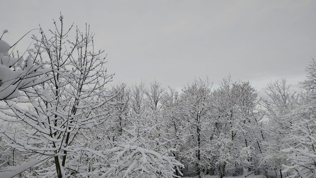 FOTO / VIDEO | La nordul R. Moldova a venit iarna