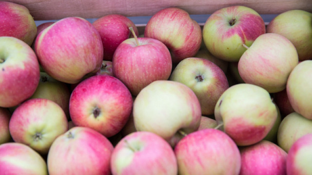 Asociația horticultorilor din Rusia a solicitat autorităților limitarea importului de mere din Republica Moldova, pentru a elimina concurența