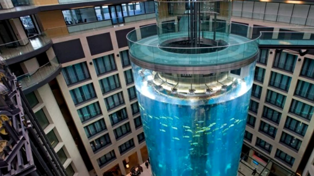Cel mai mare acvariu cilindric din lume a explodat. 1.500 de pești exotici se aflau la interior
