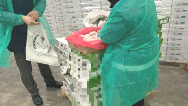 Cele 12 percheziții la companiile importatoare de carne au vizat circa 480 tone de marfă congelată