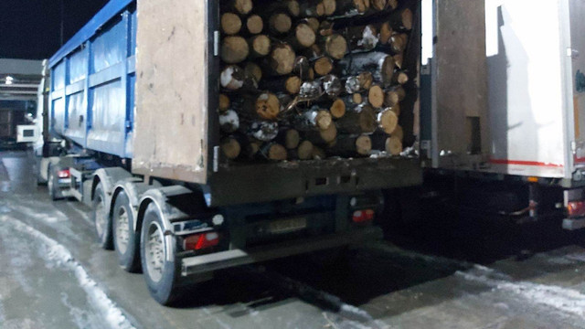 Primul lot cu lemn de foc din România a ajuns în Republica Moldova