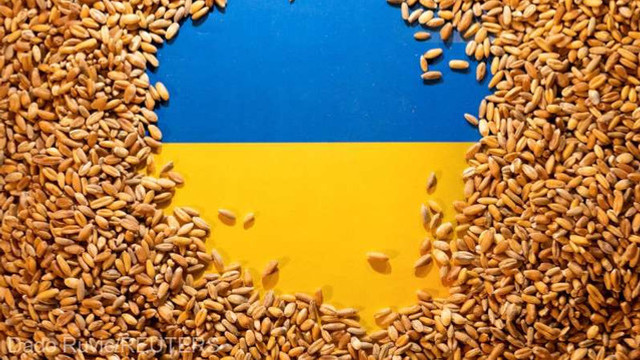 Ucraina: S-au recoltat 53,2 milioane de tone de cereale