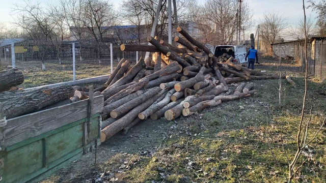 Peste 50 de gospodării din trei localități, au primit circa 70 de metri cubi de lemn procurat din România 