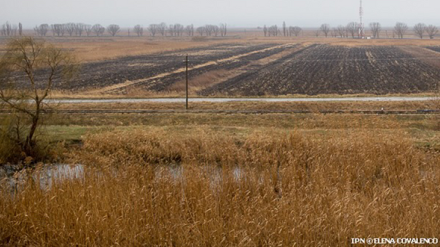 Statul își propune să investească în agricultură 3 miliarde de lei până în anul 2030