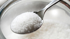 Republica Moldova ar putea relua exportul de zahăr