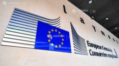 Acord între Germania și Comisia Europeană privind motoarele cu combustie