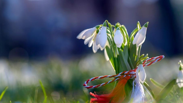 Echinocțiul de primăvară are loc astăzi, 20 martie

