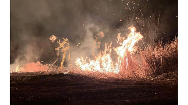 Peste 70 hectare de teren au fost mistuite de flăcări în ultimele 24 de ore