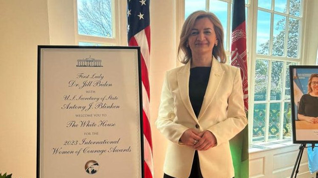 Președinta Comisiei politică externă și integrare europeană, Doina Gherman, a primit premiul Women of Courage Award 2022