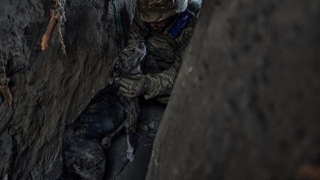 Ucraina se pregătește de ofensivă în timp ce atacurile rusești din jurul Bahmut pierd viteză