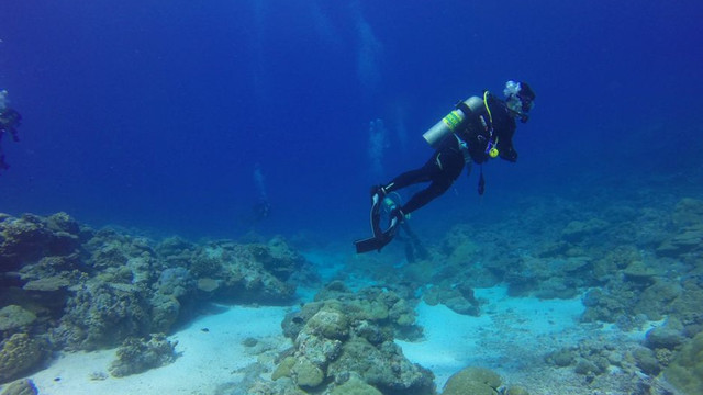 Un profesor universitar încearcă să supraviețuiască sub apă 100 de zile