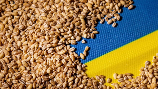 Fermierii ucraineni reacționează în scandalul cerealelor și susțin că protestele din Europa sunt motivate politic
