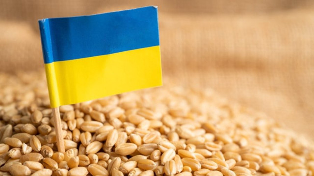 Asociația Forța Fermierilor cere autorităților să restricționeze temporar importurile de grâu, porumb, floarea soarelui și rapiță din Ucraina