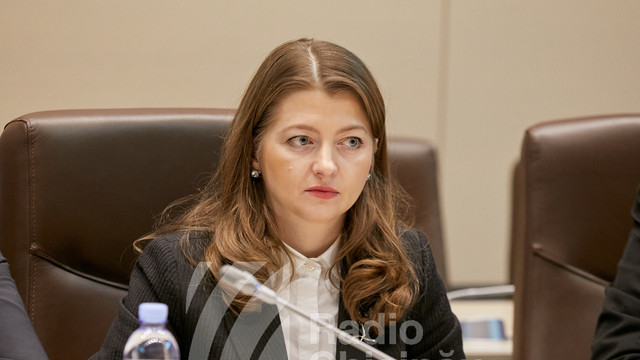 Veronica Mihailov-Moraru: Am cerut urgentarea examinării cererii de extrădare a lui Ilan Șor