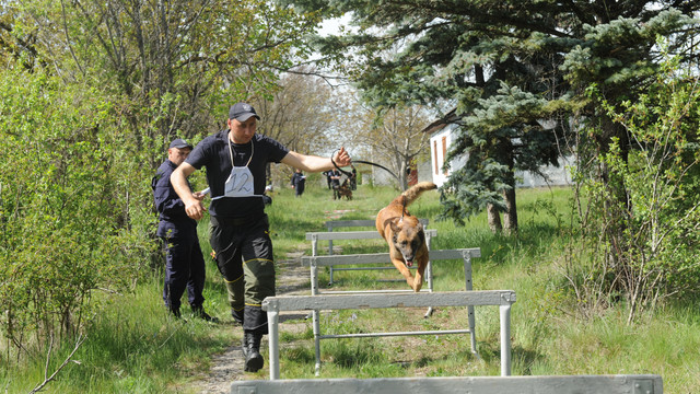 22 de echipe canine au concurat la „Biatlon în memoria locotenent-colonelului Veaceslav Oșovschi, ediția 2023”
