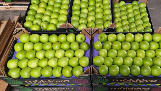Un lot de mere din Republica Moldova a fost exportat în Suedia