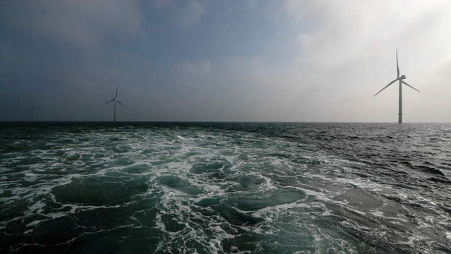 Lipsa de compentențe în domeniul energiilor verzi amenință ambițiile climatice ale Europei (Financial Times)
