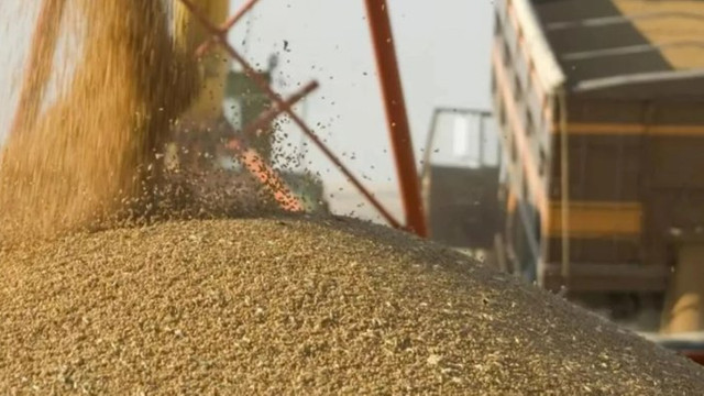 România a cerut UE să prelungească interdicția importurilor de cereale din Ucraina până la finalul anului 2023
